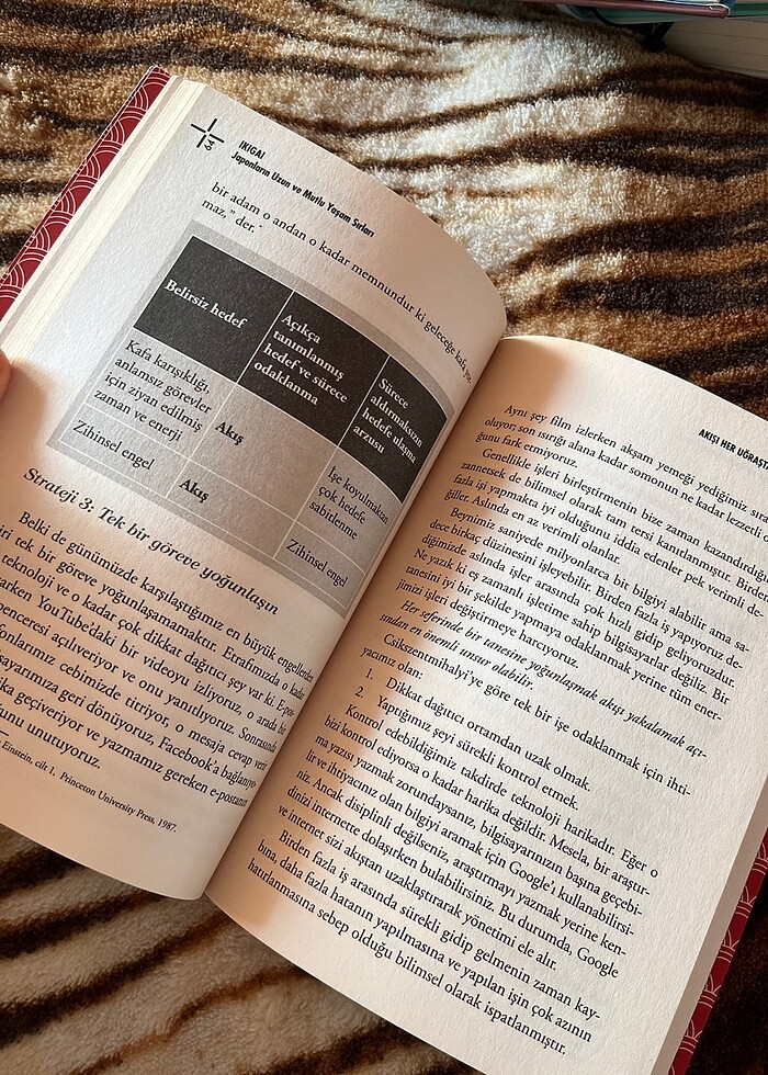 Ikıgaı kitap - Görsel 4