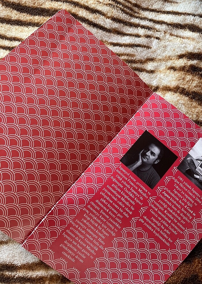 Ikıgaı kitap - Görsel 3