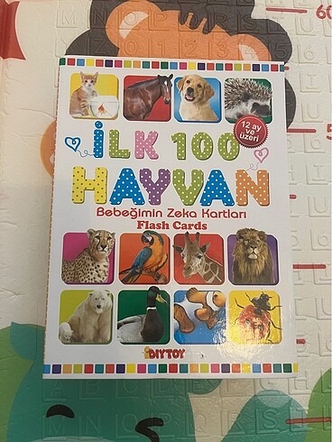 İlk 100 hayvan zeka kartları