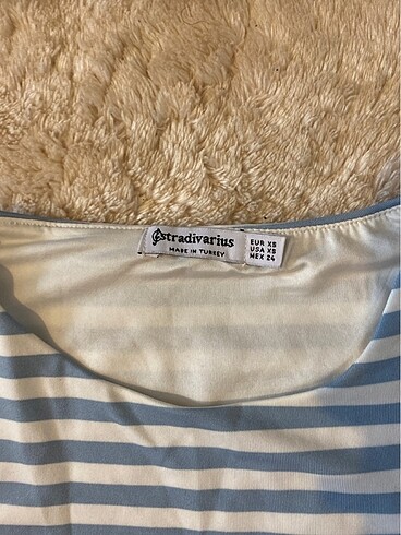 Stradivarius stradivarius crop