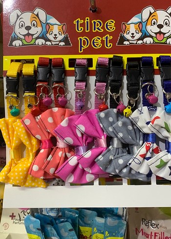 Renkli Puantiyeli Kedi Boyun Tasması - Görsel 2