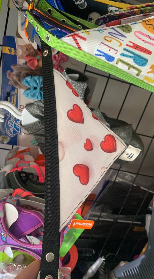 Kedi fular - Görsel 2