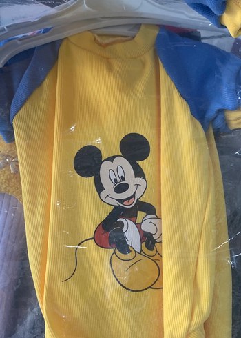 Renkli Baskılı Sarı Sokak Stili Kedi Kıyafeti - Görsel 2