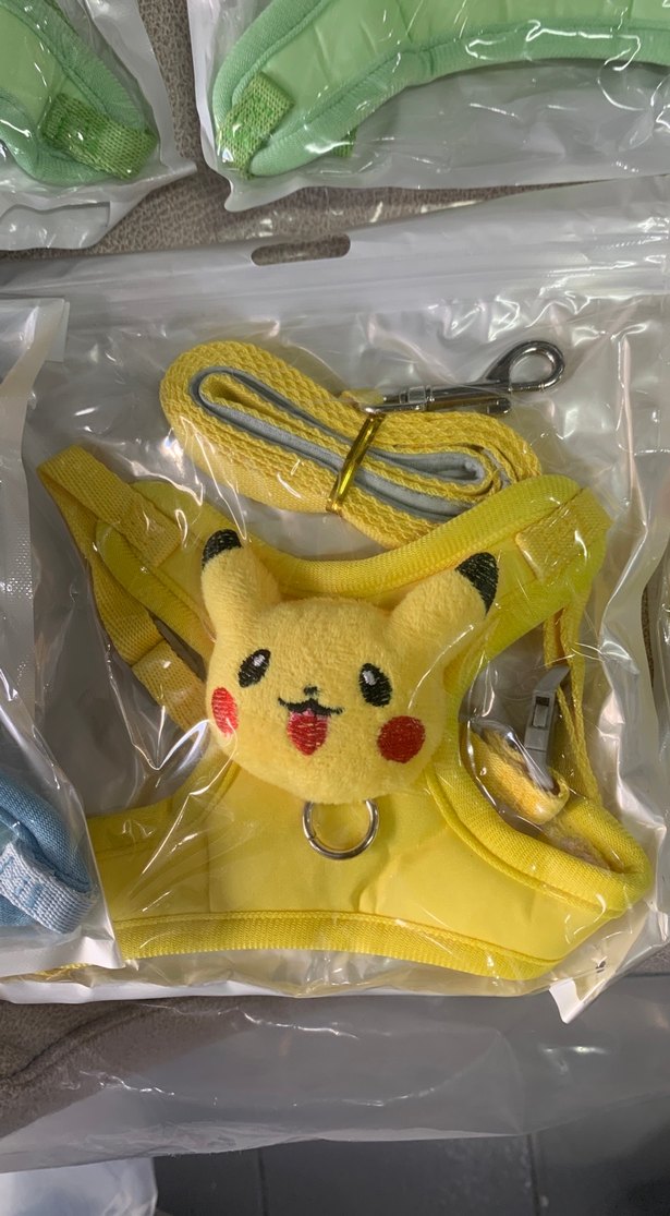 Renkli Peluş kedi köpek gezdirme tasması - Görsel 2