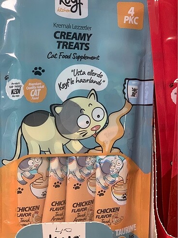 Beden Keyf kedi çorbası
