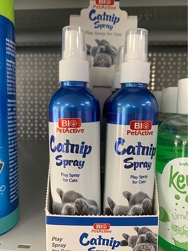 Kedi için catnip sprey