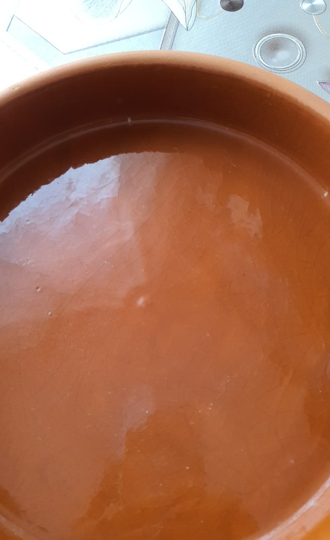 toprak güveç ince derinlikte - Görsel 2