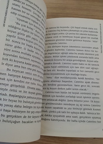 Televizyona Düşen Çocuk GiP - Gianni Rodari - Görsel 3