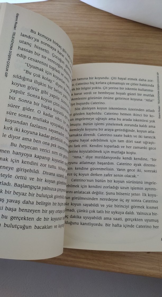 Televizyona Düşen Çocuk GiP - Gianni Rodari - Görsel 3
