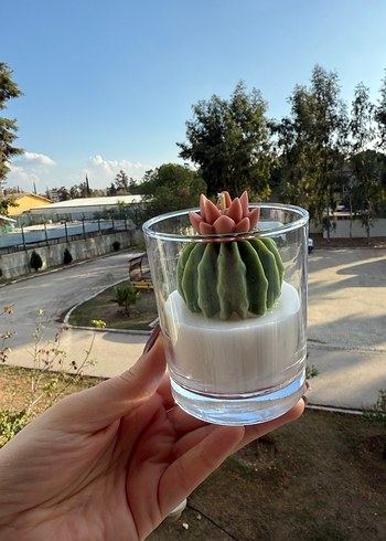 Pastel Kaktüs Tasarımlı Mum - Görsel 2