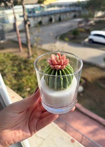 Pastel Kaktüs Tasarımlı Mum - Görsel 4