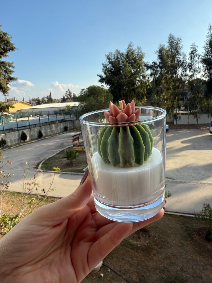 Pastel Kaktüs Tasarımlı Mum - Görsel 2