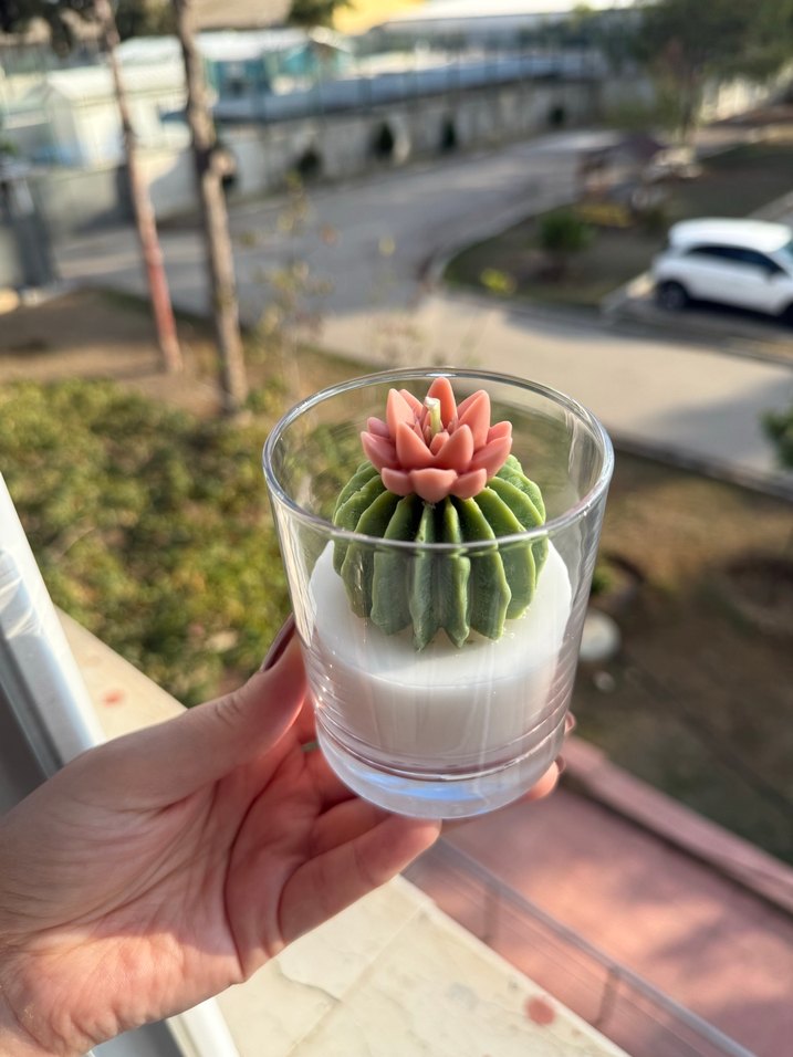 Pastel Kaktüs Tasarımlı Mum - Görsel 4