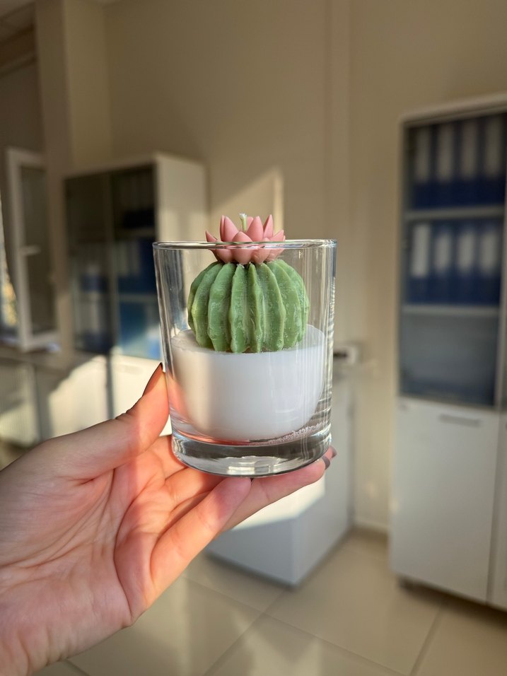 Pastel Kaktüs Tasarımlı Mum - Görsel 3