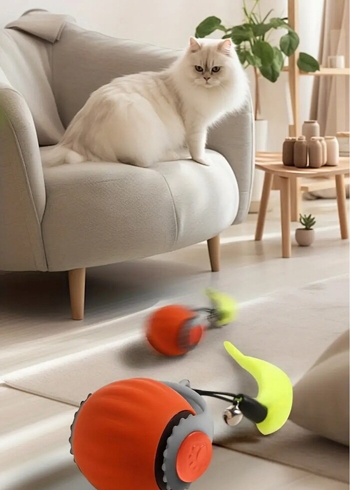 Kedi Oyuncağı - Görsel 3