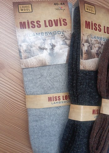 Miss Lambs Yünlü erkek çorabı - Görsel 2
