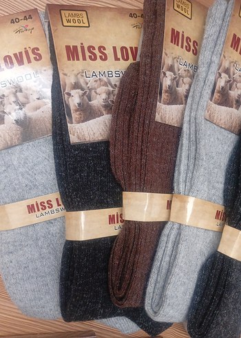 Miss Lambs Yünlü erkek çorabı - Görsel 3