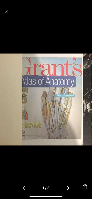 Grant's Anatomy İngilizce