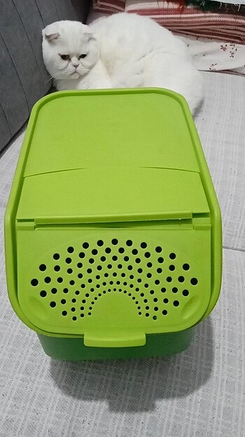 Tupperware patates soğan 