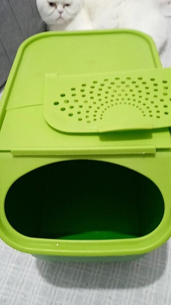 Tupperware Tupperware patates soğan 