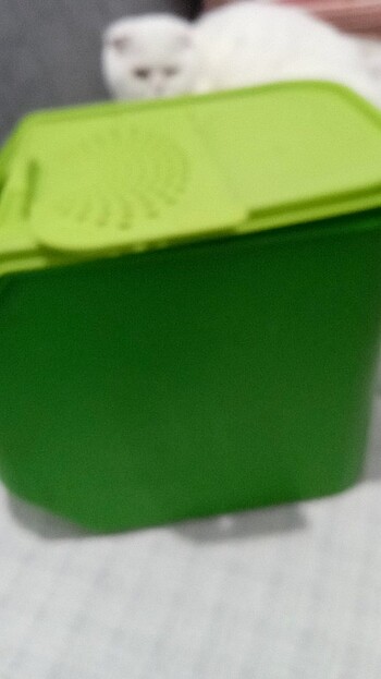  Beden Tupperware patates soğan 
