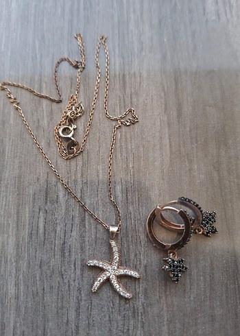 Rose Gümüş Deniz yıldızı kolye ve küpe