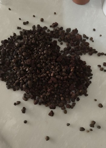 kıl bilyesi - Görsel 4