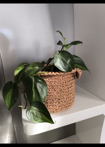 Bej Örgü Sepet ve brasil sarmaşık - Görsel 3