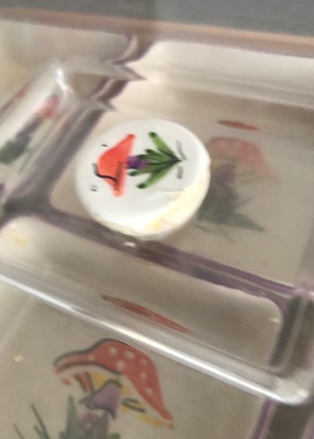 Diğer Bej Mantar Desenli 6 Bölmeli Saklama Kabı