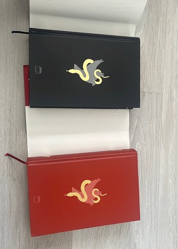 Yılan ve güvercin-Shelby Mahurin Roman Seti 2 kitap - Görsel 2