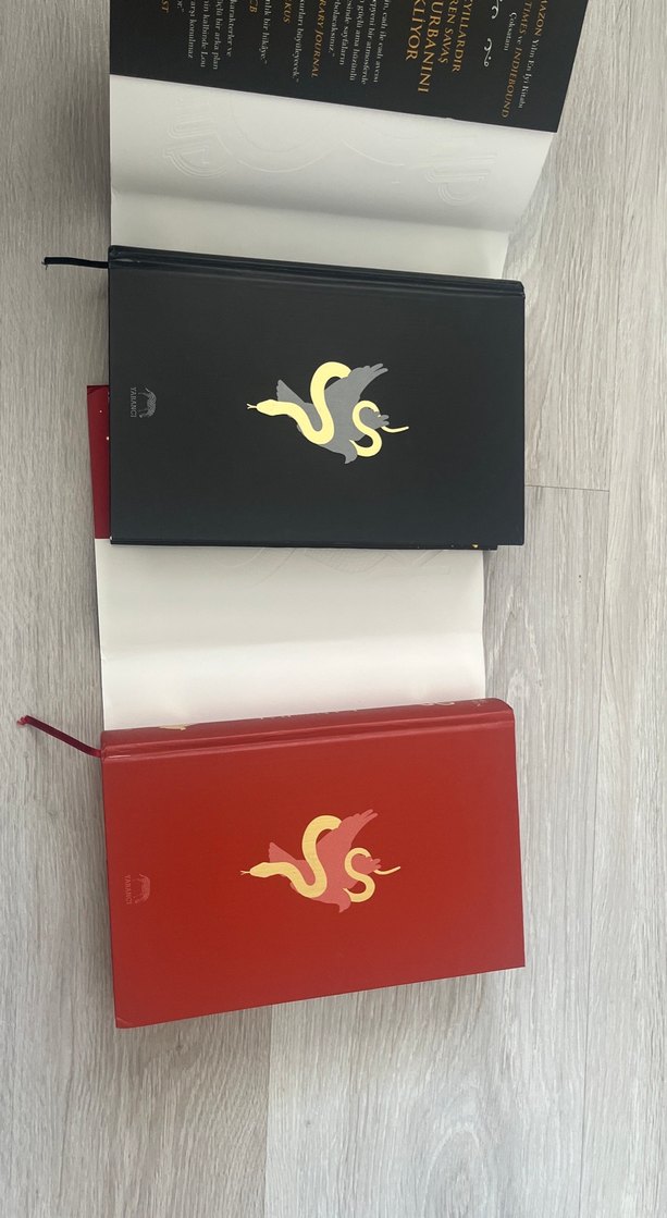 Yılan ve güvercin-Shelby Mahurin Roman Seti 2 kitap - Görsel 2