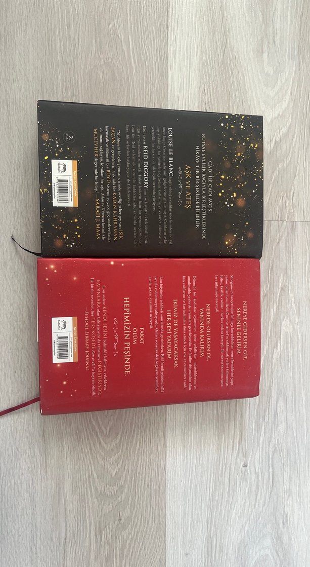 Yılan ve güvercin-Shelby Mahurin Roman Seti 2 kitap - Görsel 3