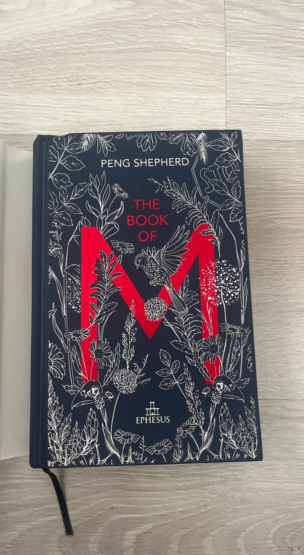 The Book of M - Peng Shepherd - Görsel 3