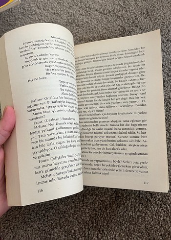 Beden Goethe Faust Romanı