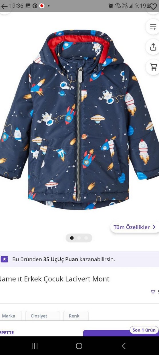 Erkek Çocuk Kapüşonlu Baskılı Fermuarlı Mont - Görsel 2