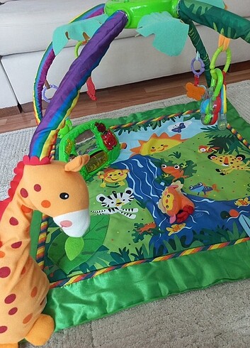 Fisher Price Fisher Price Aktivite Halisi