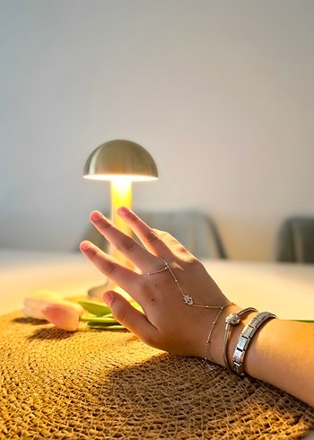 Zincir Detaylı Altın Renkli Kadın El Zinciri - Görsel 2