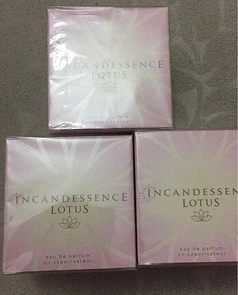 İncandessence Lotus