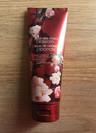 Japanese cherry blossom