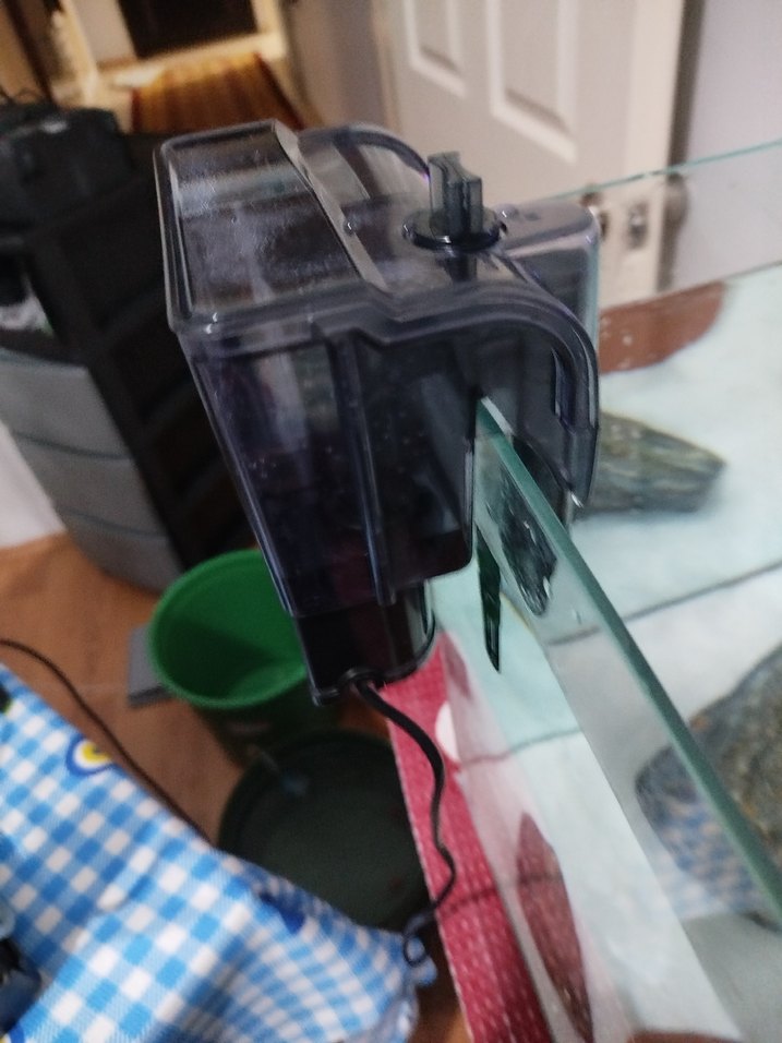 akvaryum filtresi sıfır daha yeni alindi - Görsel 2