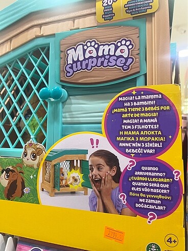 Hamile hamster mama suprise yavru live pets