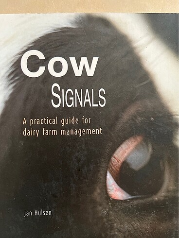 Veteriner cow signals hastalık