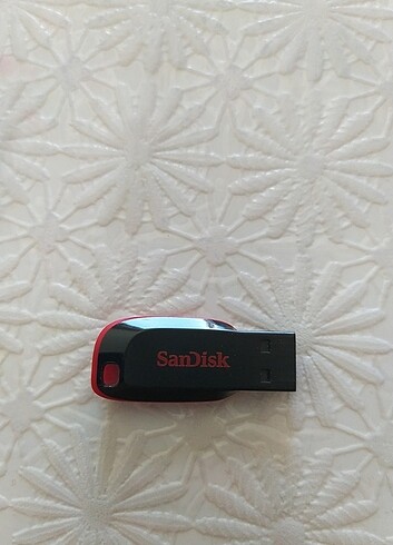 USB Sandisk Flash Bellek