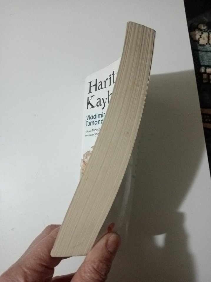 Haritada Kaybolmak - Vladimir Tumanov - Görsel 2