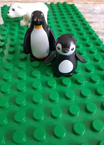 Diğer duplo uyumlu kutup hayvanlari