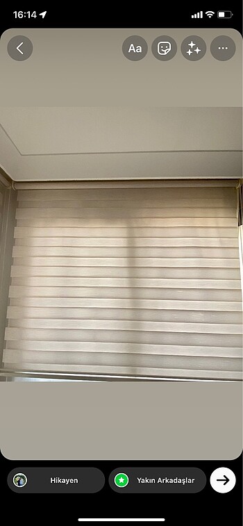 Brillant Zebra Stor