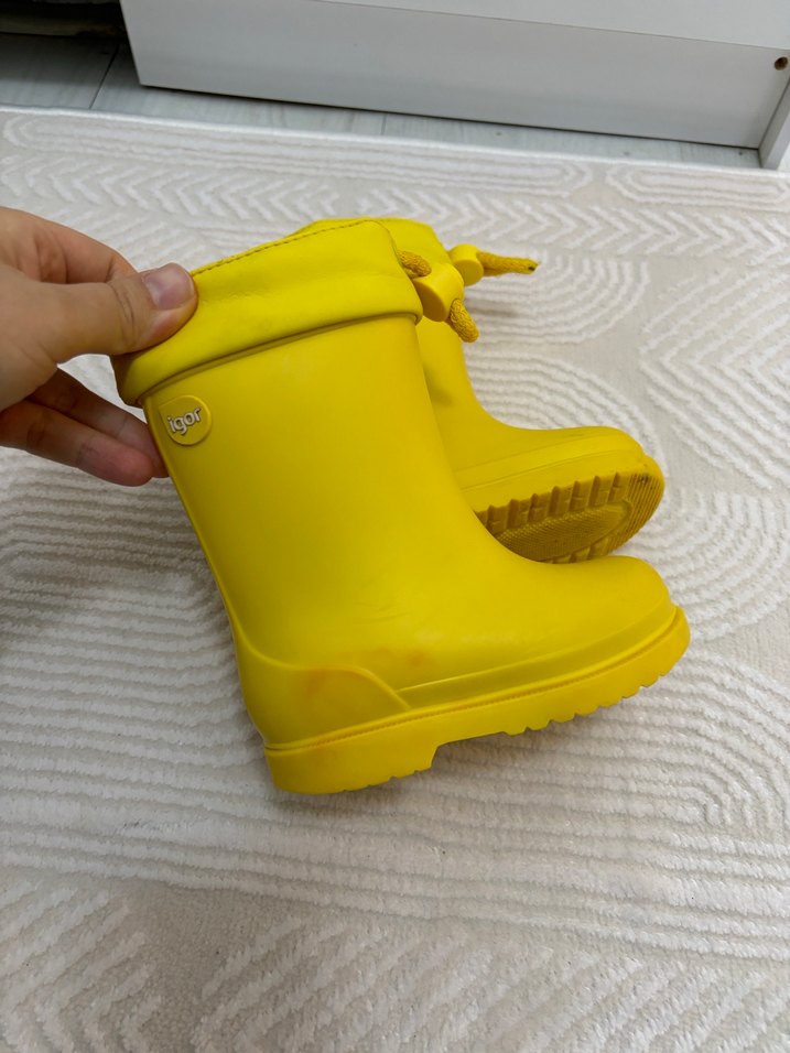 İgor Bot - Görsel 5