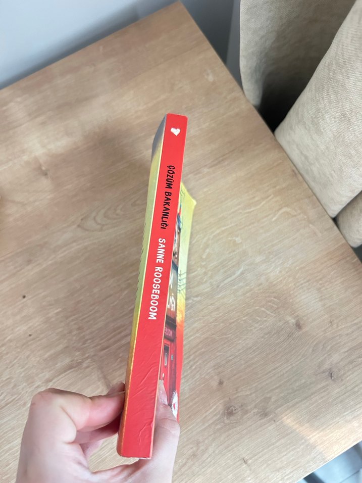 Çözüm Bakanlığı - Sanne Rooseboom - Görsel 2