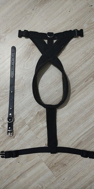 Boyun & Göğüs Köpek Tasması & Gezdirme Tasması
