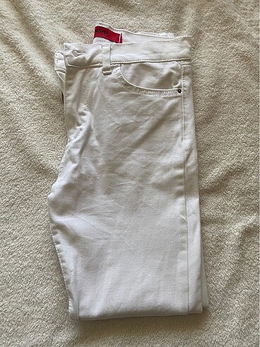 Pasha Kot Pantolon